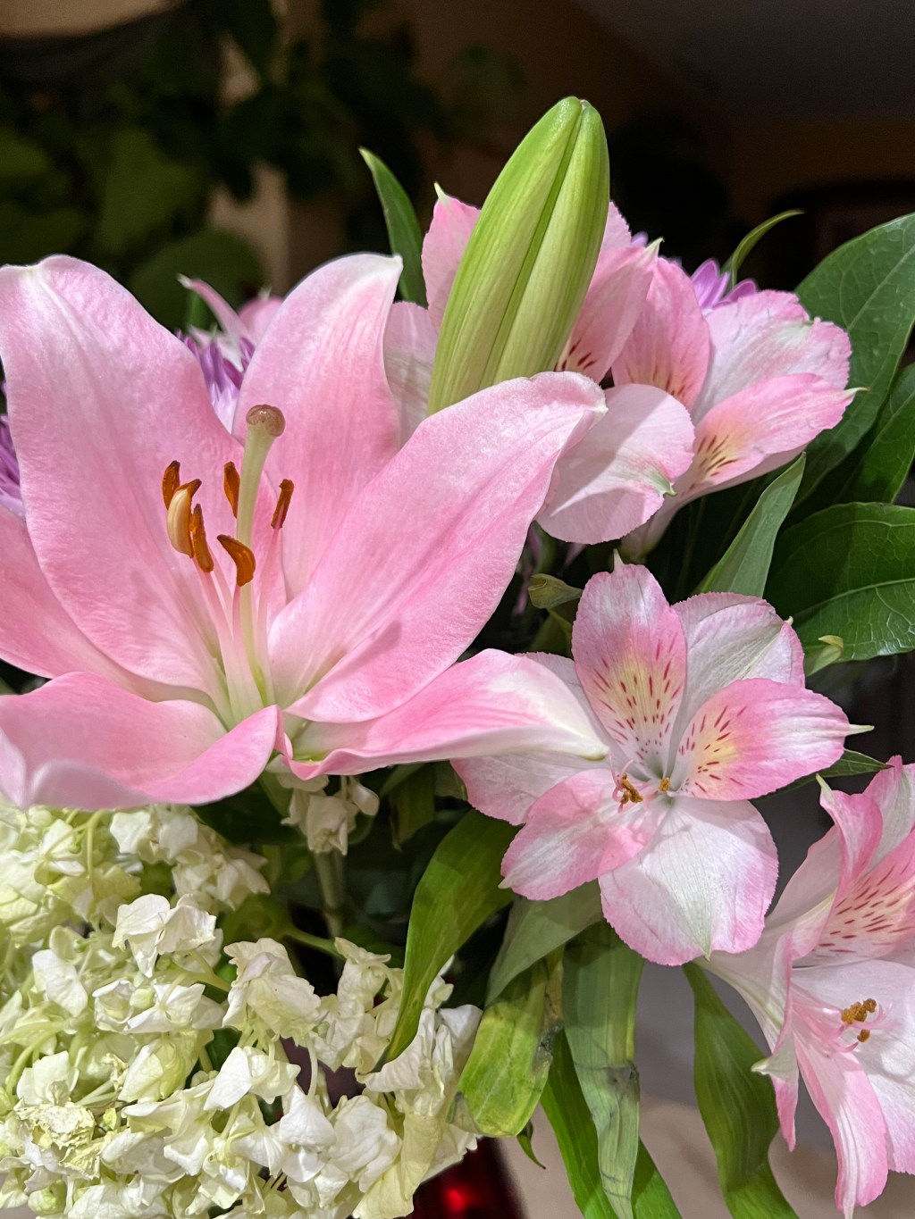 It’s the start of a new week! 