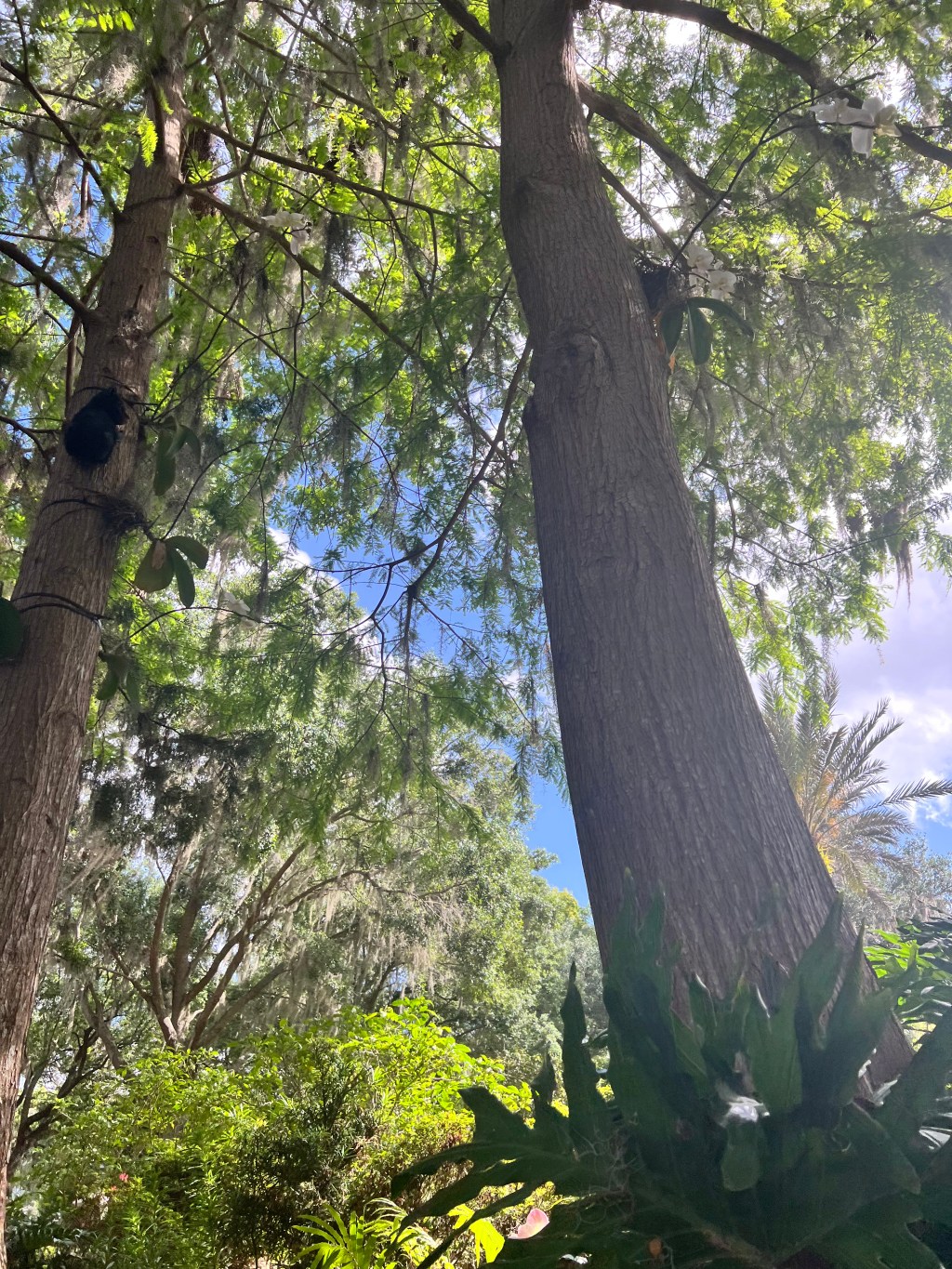 We’re Rocking and We’re&nbsp;Rolling