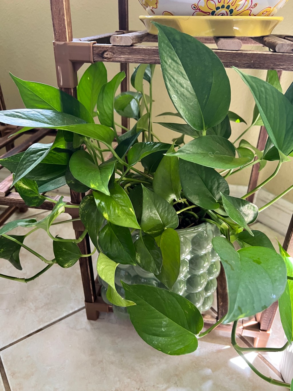 Finally the weekend! 