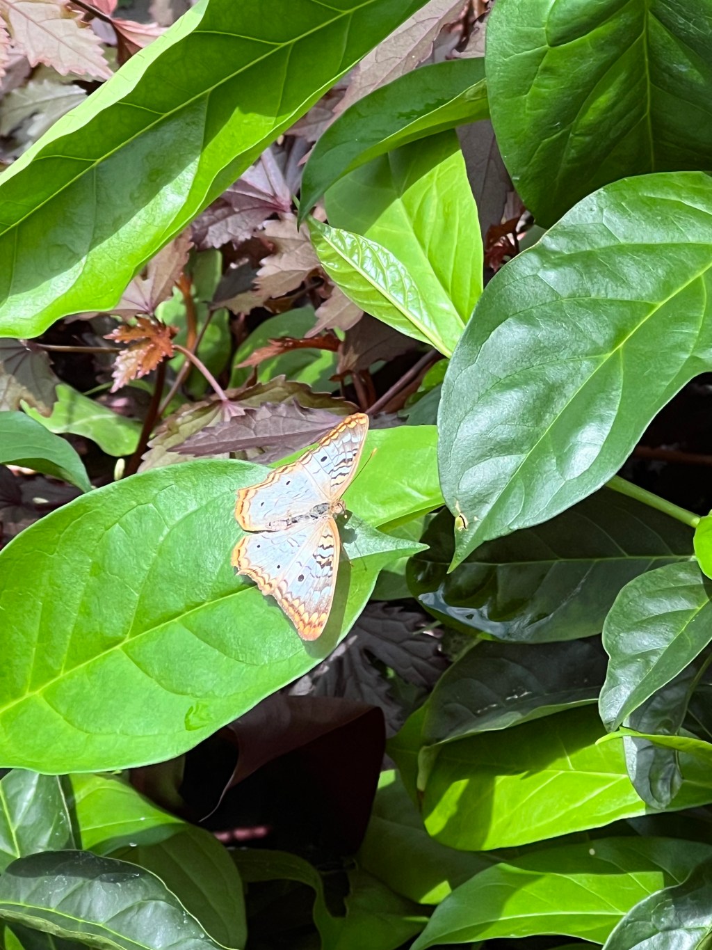 The floor opened up and I keep&nbsp;falling