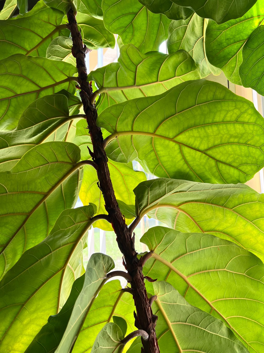 We’re so close to the end! 